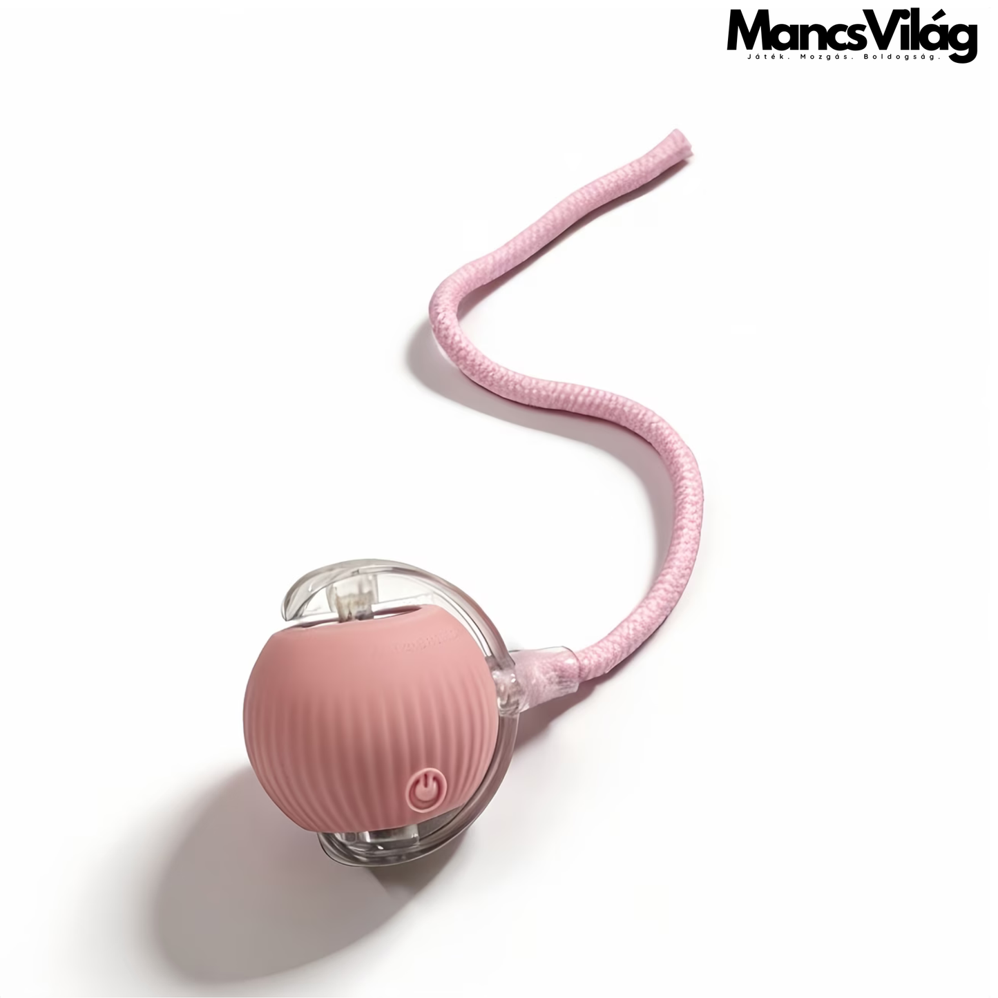 🐾 MancsVilág™ LED SmartBall