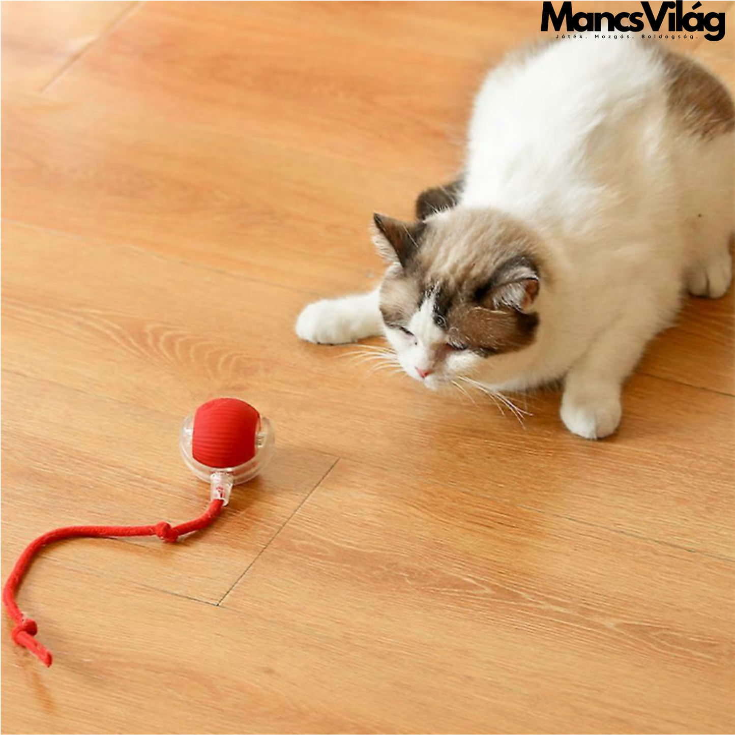 🐾 MancsVilág™ LED SmartBall